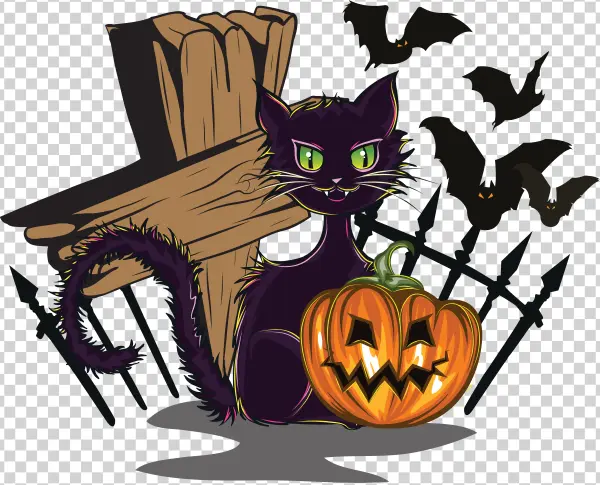 Halloween Black Cat and Jack-o'-Lantern PNG
