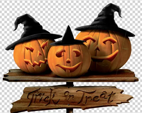 Halloween Pumpkins with Witch Hats and Trick or Treat Sign PNG