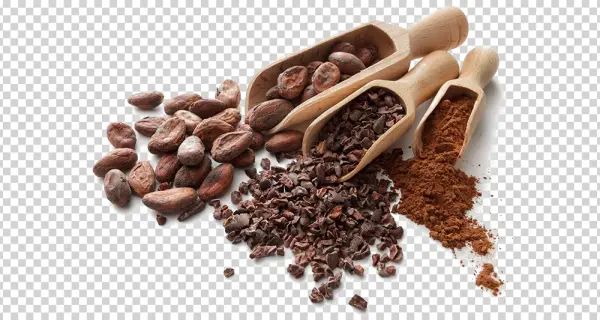 Cocoa Beans Nibs and Powder PNG Transparent Background
