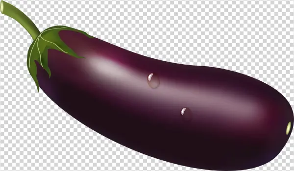 Fresh Purple Eggplant PNG Transparent