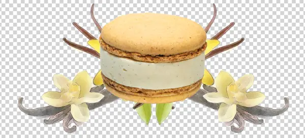Vanilla Macaron with Flowers and Pods PNG