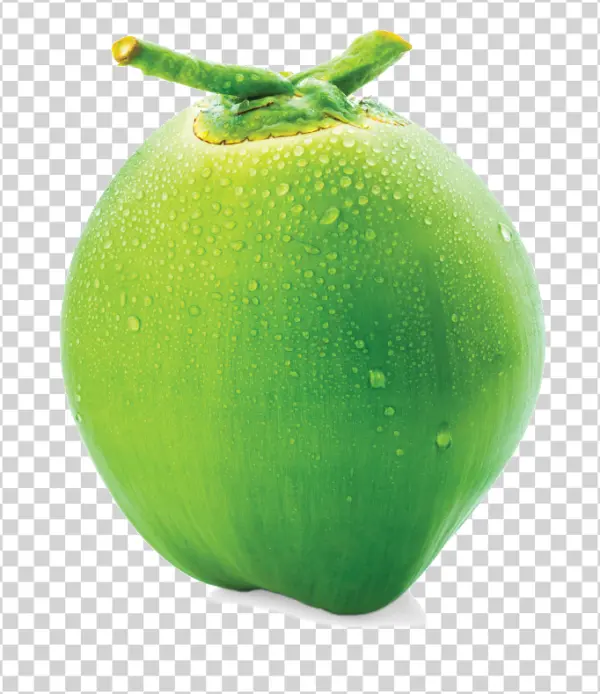 Fresh Green Coconut PNG with Water Droplets