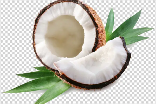 Fresh Coconut Pieces with Green Leaves PNG Transparent Background
