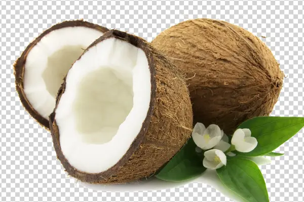 Fresh Coconuts with White Flowers PNG