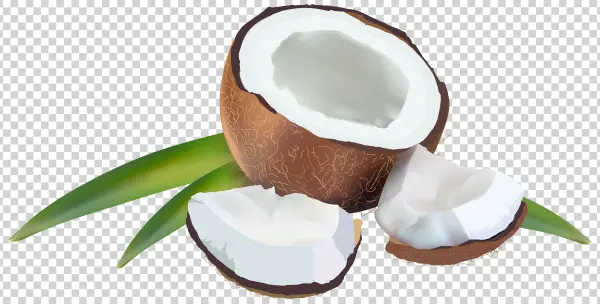 Cracked Coconut Pieces with Leaves PNG Transparent Background