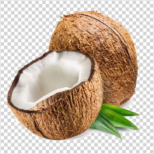 Fresh Coconuts with Leaves PNG Transparent Background