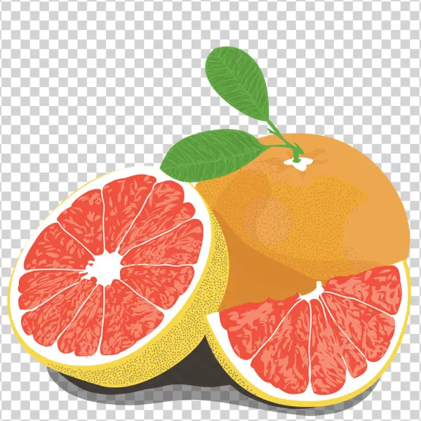 Grapefruit Whole and Slices PNG Transparent Background