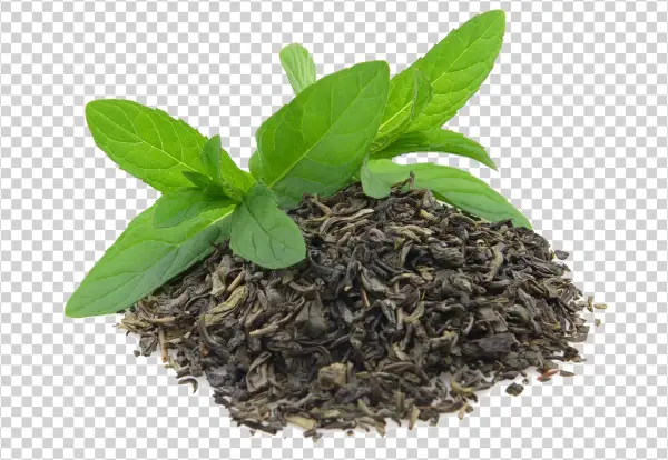 Mint and Green Tea Leaves PNG