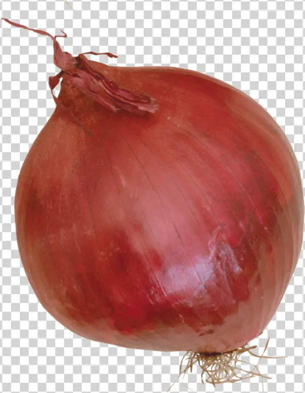 Whole Red Onion PNG Transparent Background