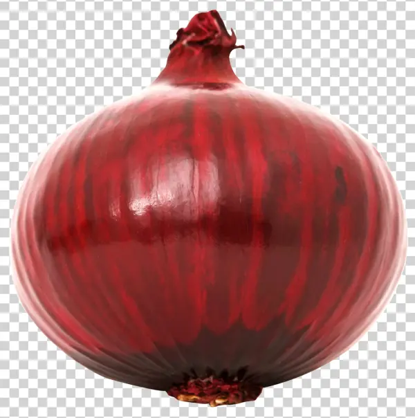 Whole Red Onion PNG Transparent Background