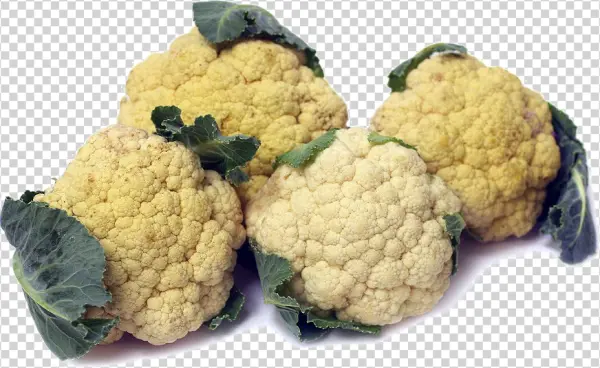 Four Fresh Cauliflower Heads PNG Transparent Background