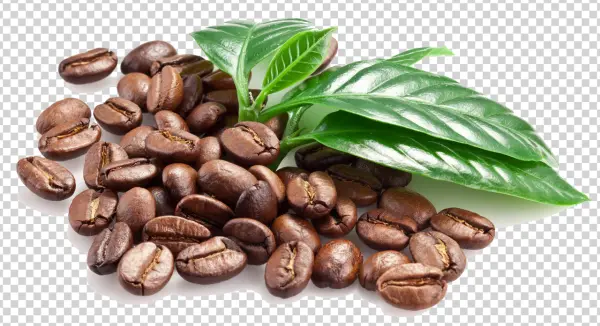 Roasted Coffee Beans with Green Leaf PNG Transparent Background