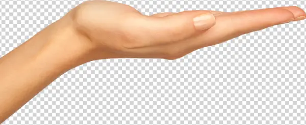 Open Hand Palm Up PNG Transparent Background