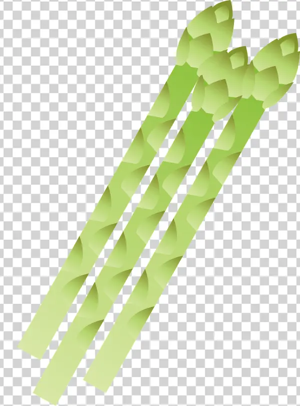 Green Asparagus Stalks PNG