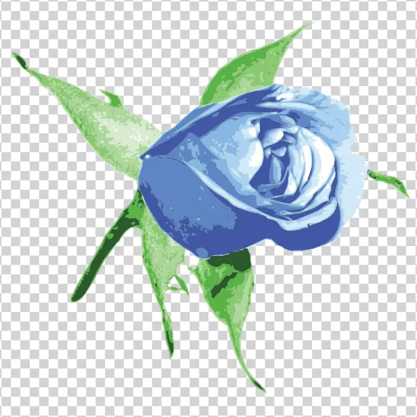 Blue Rosebud with Leaves PNG Transparent Background