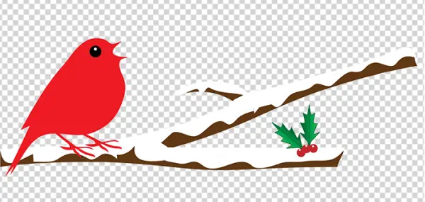 Red Robin on Snowy Branch with Holly PNG Transparent