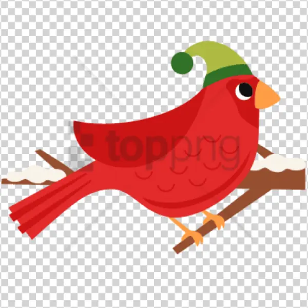 Cute Red Cardinal Bird with Santa Hat PNG