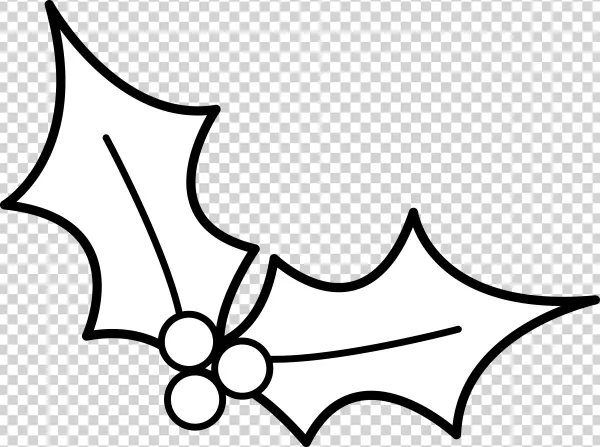 Christmas Holly Leaves and Berries Outline PNG