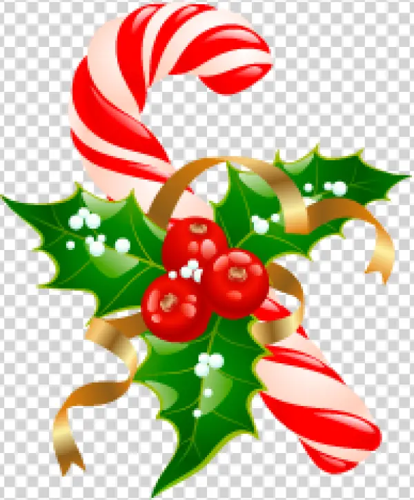 Christmas Candy Cane with Holly PNG