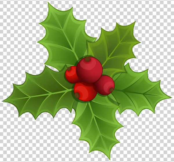 Christmas Holly and Berries PNG Transparent Background