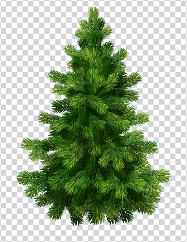 Christmas Tree PNG Transparent Background