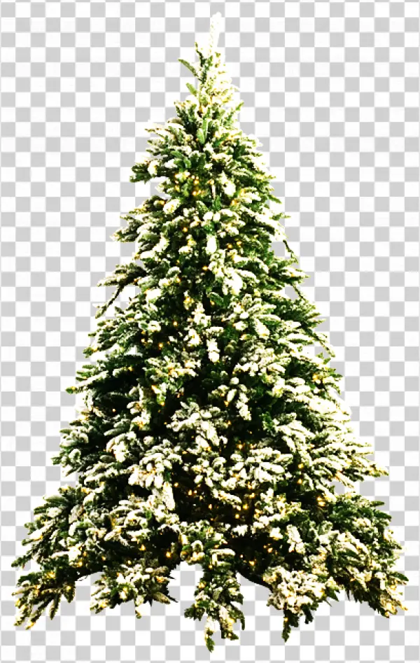 Snowy Christmas Tree with Lights PNG Transparent