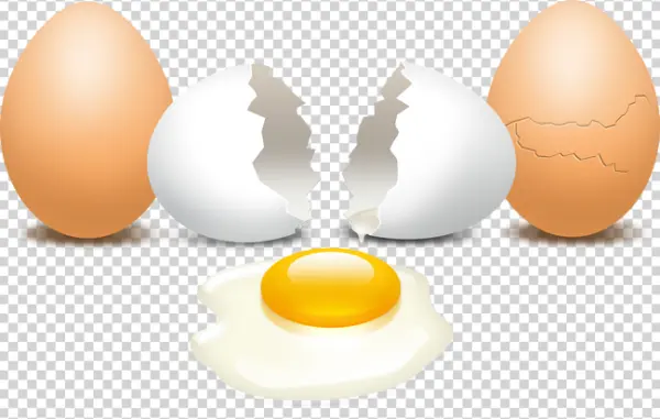 Cracked and Whole Eggs Transparent PNG