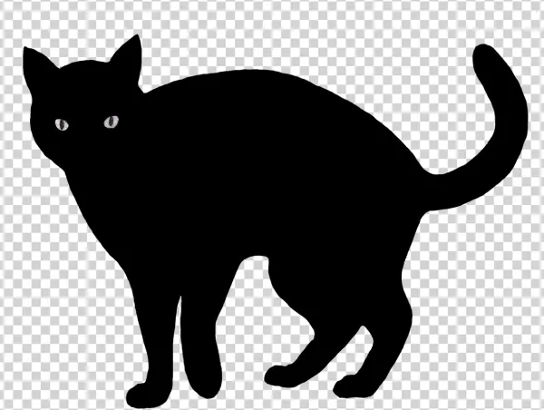 Glowing Cat Eyes Transparent PNG