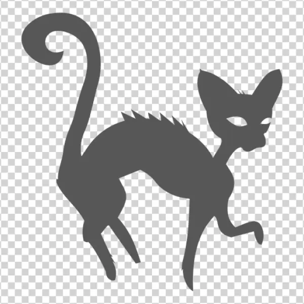 Scared Cat Silhouette PNG Transparent Background