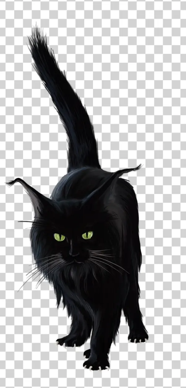 Black Cat with Green Eyes PNG Transparent Background