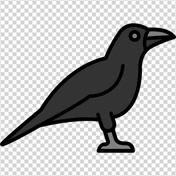 Black Crow Icon PNG Transparent Background