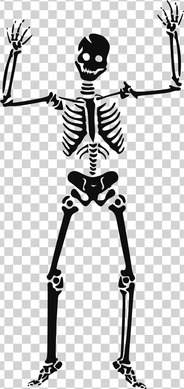 Happy Skeleton Transparent PNG