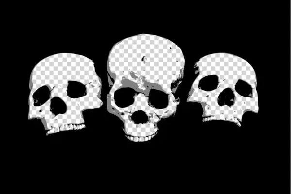 Three Grayscale Skulls PNG Transparent Background