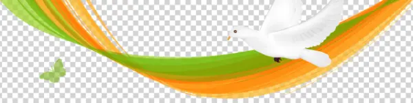 White Dove Flying with Green Orange Abstract Ribbons PNG