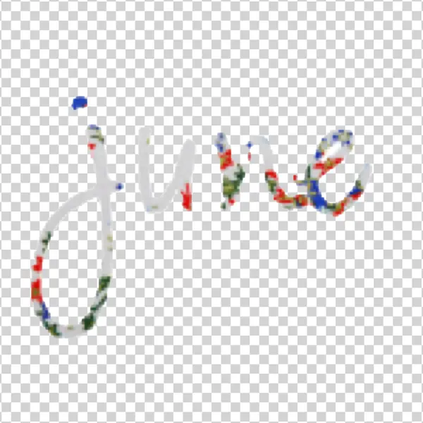 June Handwritten Script Word PNG