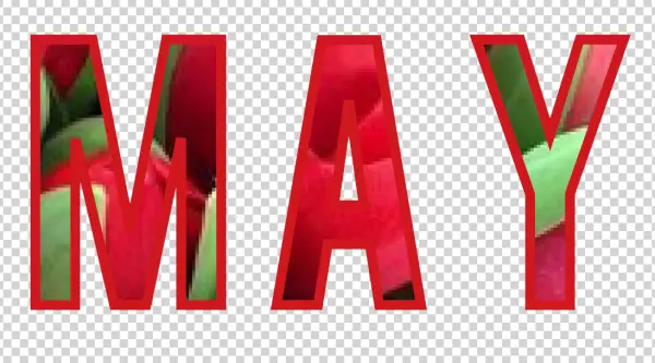 MAY Floral Text Transparent Letters PNG