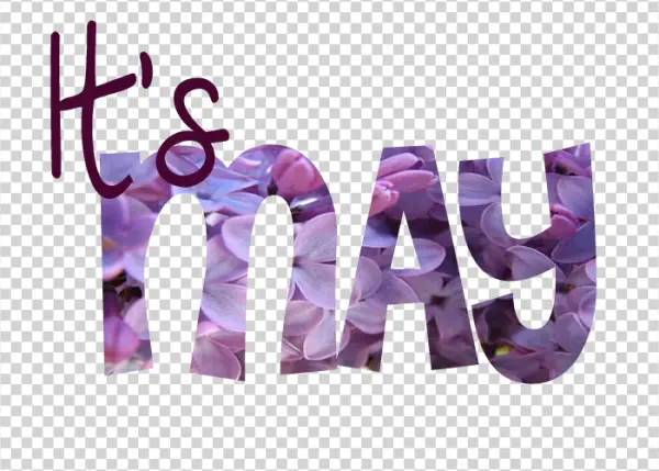 It's May Text with Lilac Flowers PNG Transparent Background