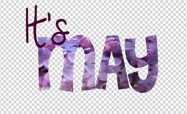 It's May Floral Text with Lilac Flowers PNG