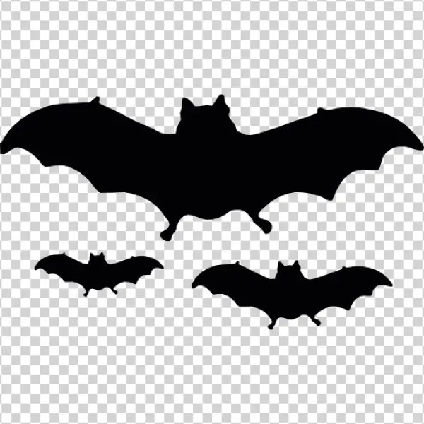 Flying Bat Silhouettes PNG Transparent Background