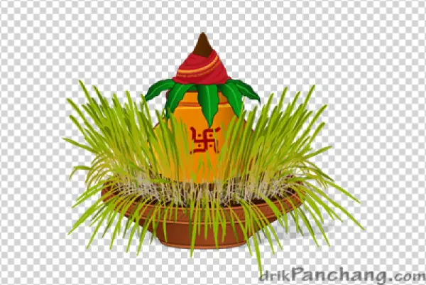 Kalash Pot with Wheatgrass PNG Transparent Background