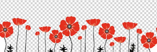 Stylized Red Poppy Flowers Border PNG