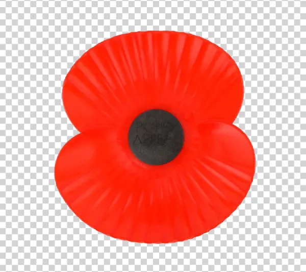 Remembrance Day Poppy PNG Transparent Background