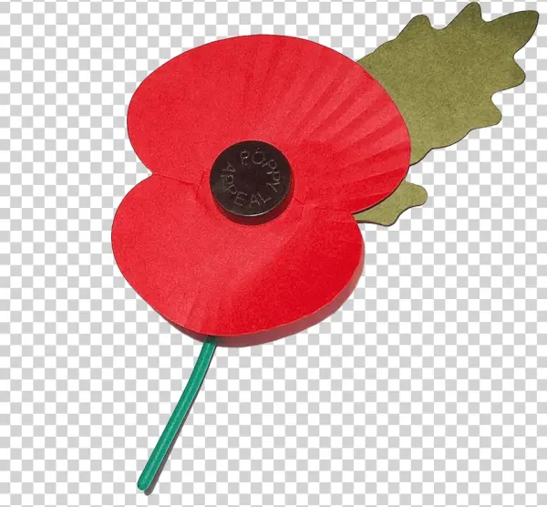 Remembrance Poppy PNG Transparent Background
