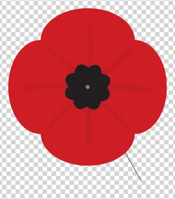 Red Poppy Flower Transparent PNG