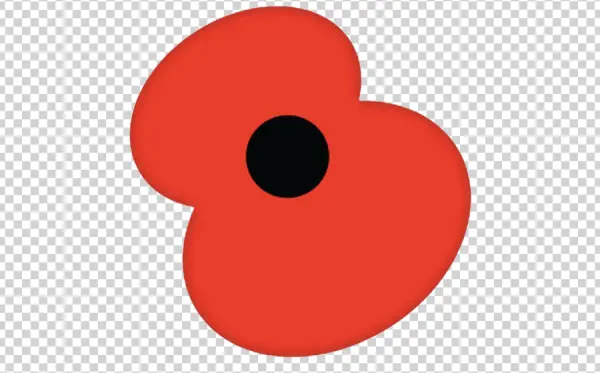 Red Poppy Transparent PNG