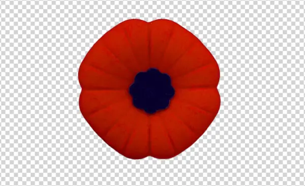 Red Poppy Flower PNG Transparent Background