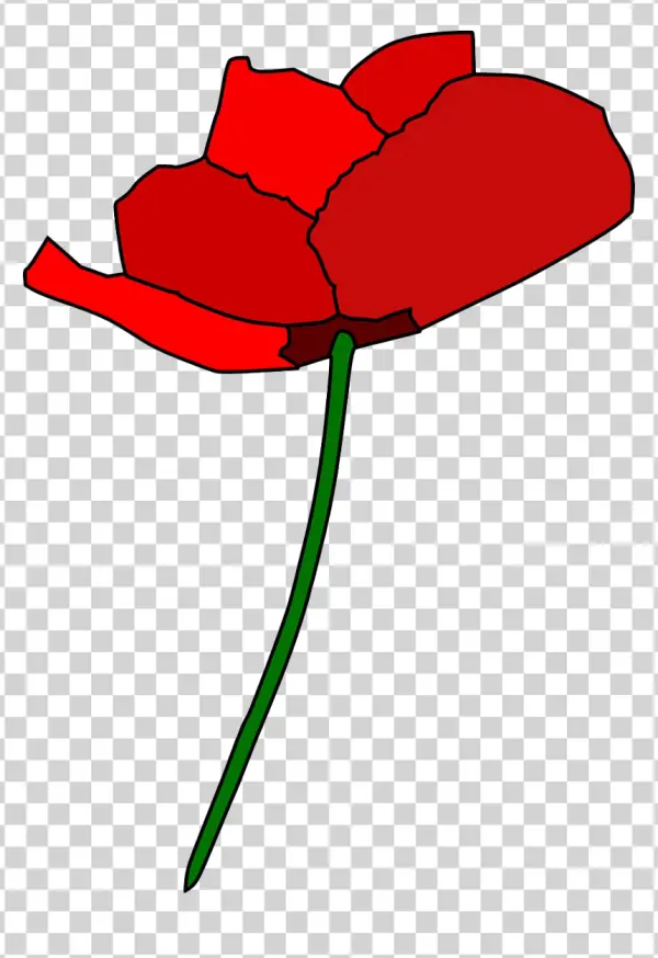 Stylized Red Poppy Flower PNG Transparent Background