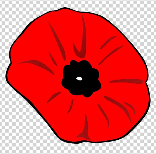 Red Poppy Flower PNG Transparent Background