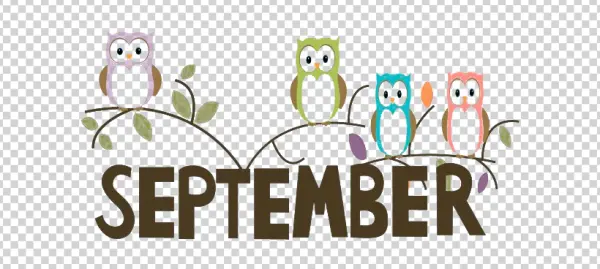 September Owls on Branch PNG Transparent Background