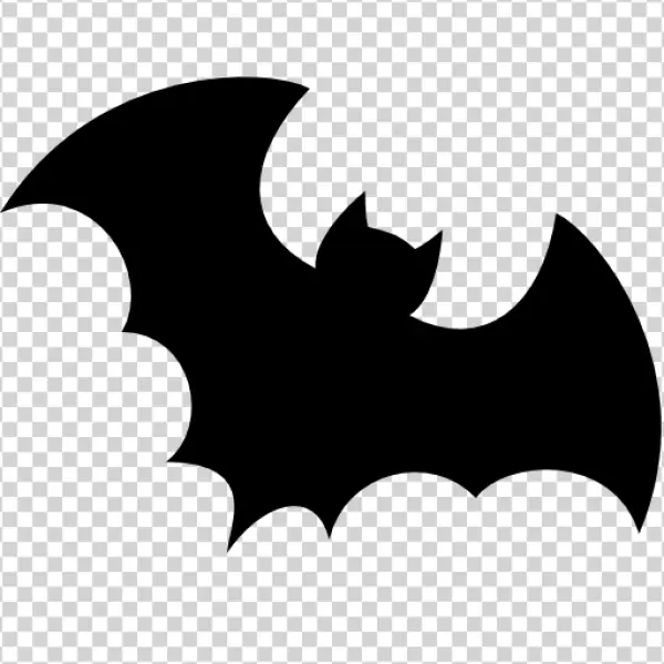 Empty Transparent PNG Placeholder